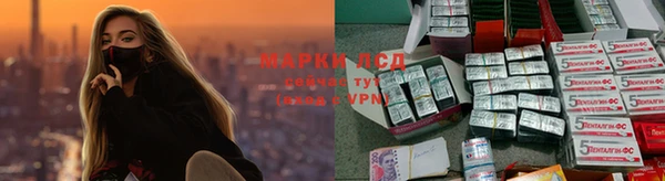 PSILOCYBIN Абдулино