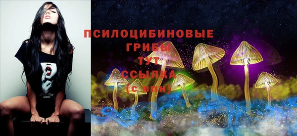 Альфа ПВП Наволоки
