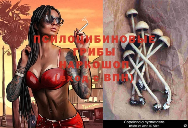 PSILOCYBIN Абдулино
